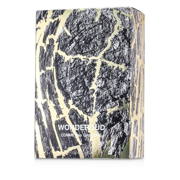 17461911205_59e1324d-66ed-4156-b4f8-768566077cd8