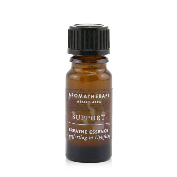 24333357403_34b3077c-06f9-49c0-98f0-475fbb9ff934